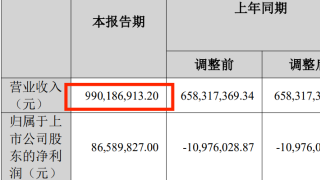 单季度营收近10亿，小众赛道跑出一匹黑马大卖