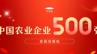 中農(nóng)網(wǎng)入選2024中國(guó)農(nóng)業(yè)企業(yè)500強(qiáng)