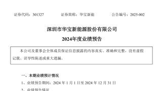 华宝新能2024年营收创新高 同比增长146.94%至159.91%