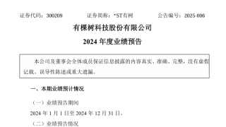 有棵树2024年归母净利润实现扭亏为盈