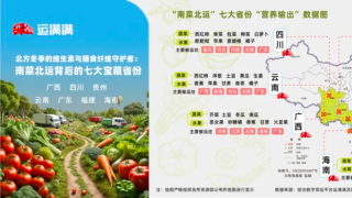 運滿滿發布“南菜北運”七大省份“營養輸出”數據圖