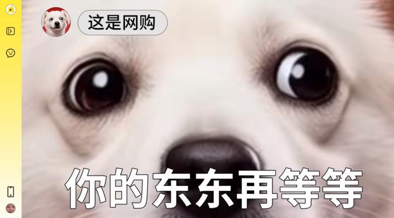 东东-800.jpg