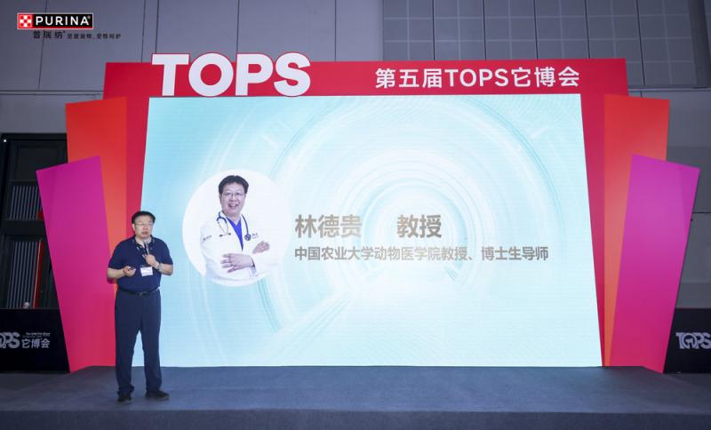 图形用户界面, 网站 AI 生成的内容可能不正确。