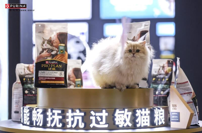 猫的照片上写着字 AI 生成的内容可能不正确。