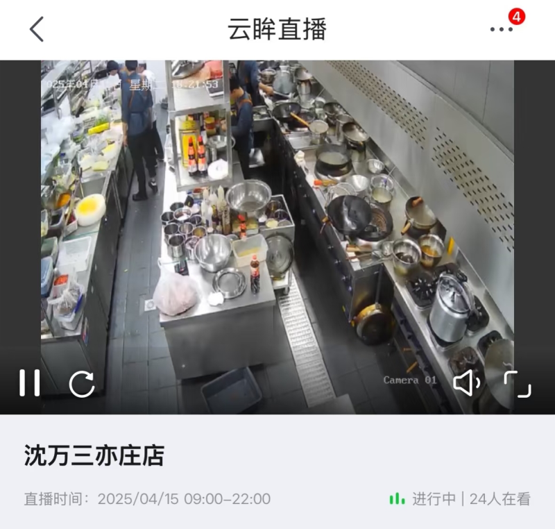 图片19-800.png