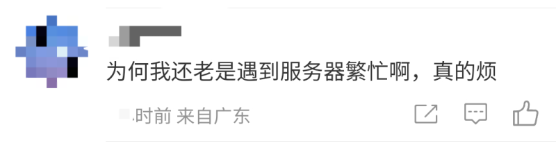 图片-11-800.png