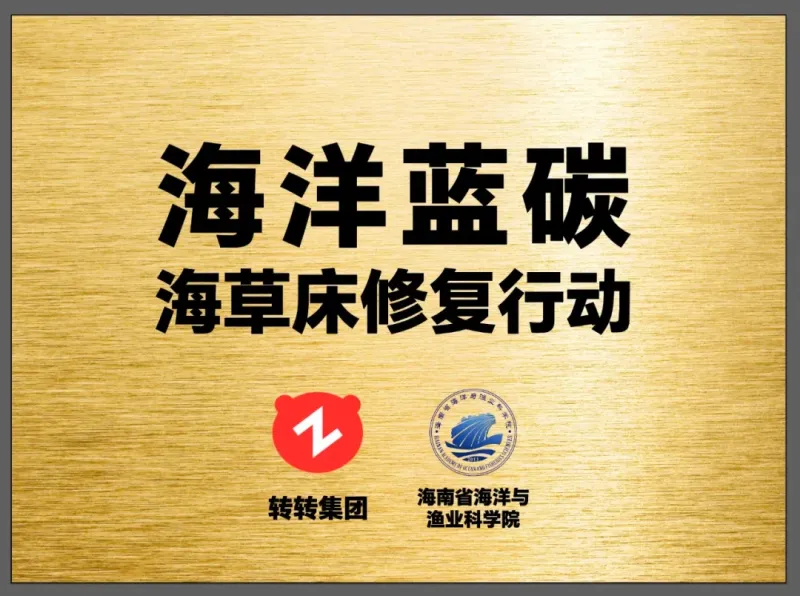 电商派