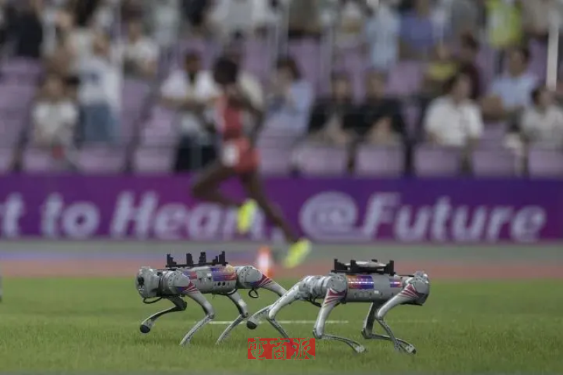 watermark,image_d2F0ZXJtYXJrLnBuZz94LW9zcy1wcm9jZXNzPWltYWdlL3Jlc2l6ZSxQXzEy,g_south,t_55,x_1,y_20