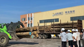 中农网智能检尺设备首次应用于原木期货交割核心环节