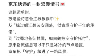 京东物流升级轨迹服务 通过自研大模型生成创意文案