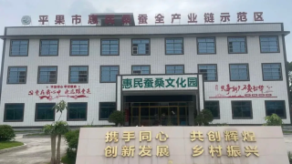 中农网联合惠民蚕业在广西平果设立丝绸“云工厂”