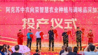 中农网香辛料板块新疆阿克苏精深加工中心正式开业