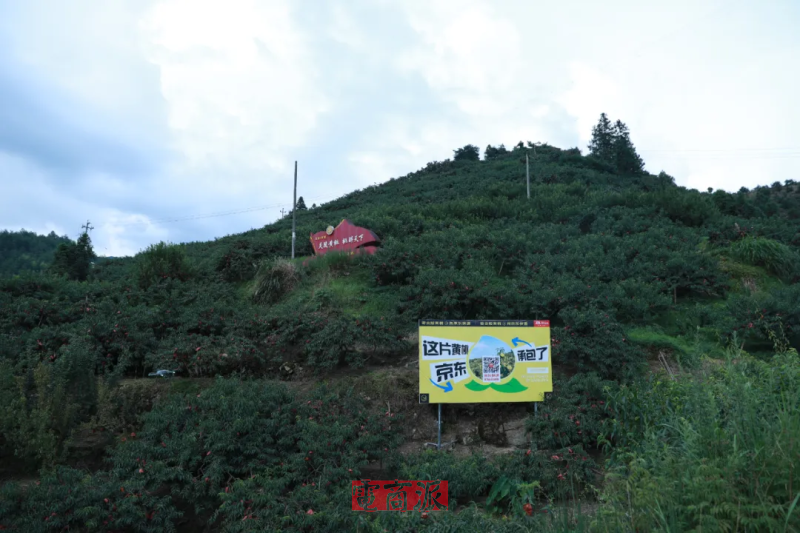 watermark,image_d2F0ZXJtYXJrLnBuZz94LW9zcy1wcm9jZXNzPWltYWdlL3Jlc2l6ZSxQXzEy,g_south,t_55,x_1,y_20
