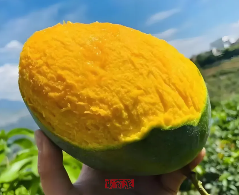 1754384563618174.png