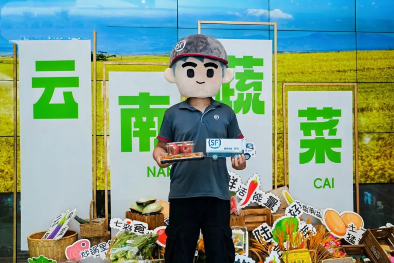 电商派